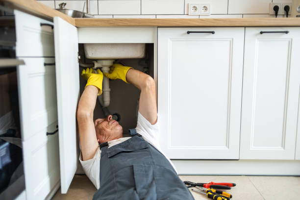 Best Clogged Drain Plumber  in Whitewater, WI